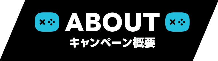キャンペーン概要